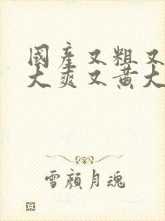 国产又粗又猛又大爽又黄大爷