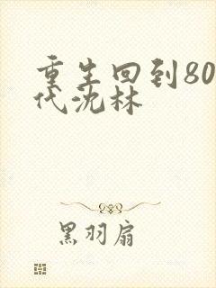 重生回到80年代沈林