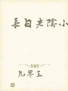 长日光阴小说