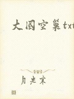 大国空巢txt