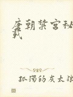 唐朝禁宫秘史下载