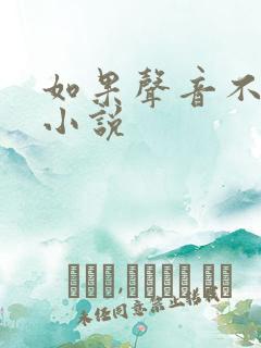 如果声音不记得小说