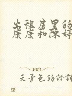 出租房里的交互康康和陈婷