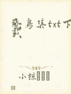 飞鸟集txt下载