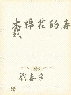 木棉花的春天下载