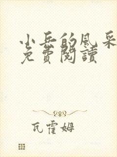 小兵的风采小说免费阅读