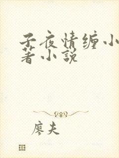 子夜情缠小说原著小说