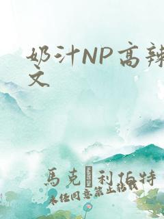 奶汁NP高辣H文