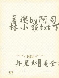 着迷by阿司匹林小说txt下载