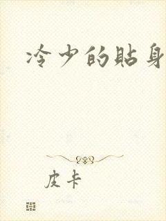 冷少的贴身女人