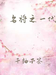 名将之一代天骄