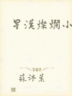 星汉灿烂小说
