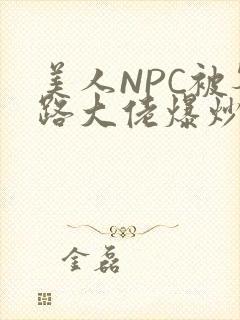 美人NPC被各路大佬爆炒小说