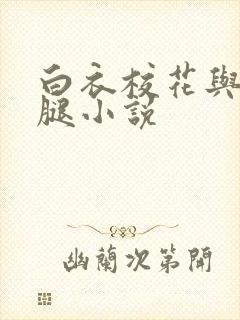 白衣校花与大长腿小说