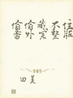 偷偷藏不住新婚番外完整版