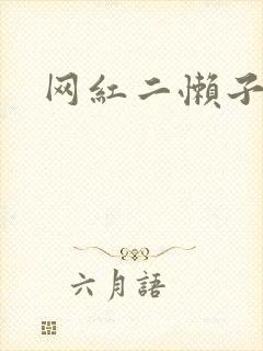 网红二懒子车祸