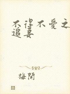 不得不爱之冷少追妻