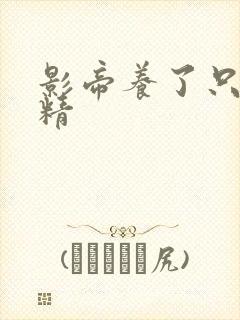 影帝养了只兰花精