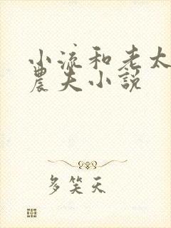 小流和老太69农夫小说