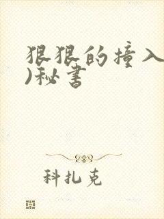 狠狠的撞入(h)秘书