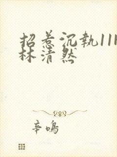 招惹沉执11H林清然