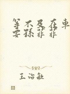 等不及在车里就要孙菲菲