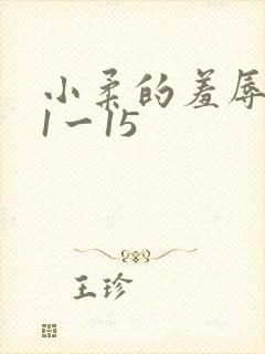 小柔的羞辱日记1一15
