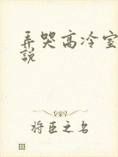 弄哭高冷室友小说