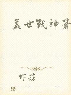 盖世战神萧破天