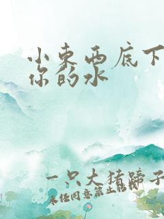 小东西底下都是你的水