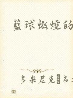 篮球燃烧的岁月