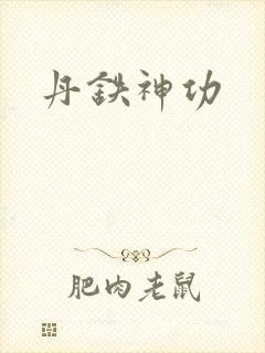 丹铁神功