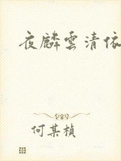 夜麟云清依小说