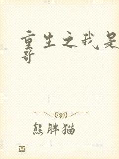 重生之我是大帅哥