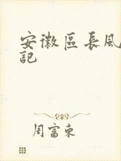 安徽区长风流日记