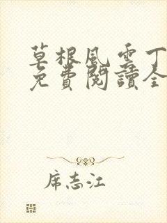 草根风云丁长生免费阅读全本