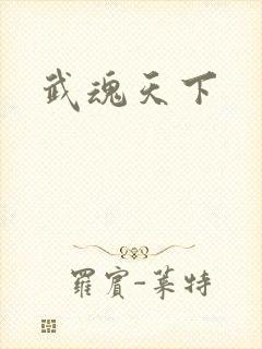 武魂天下