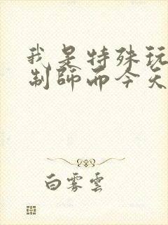 我是特殊玩具定制师而今天的客户