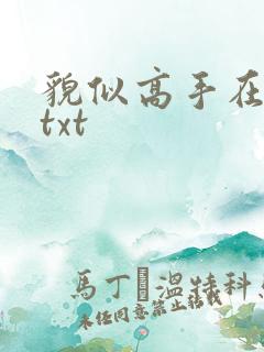 貌似高手在异界txt