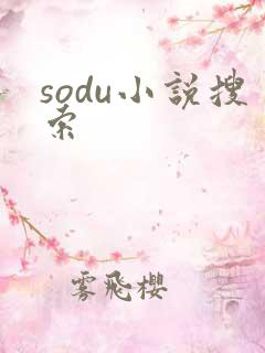 sodu小说搜索