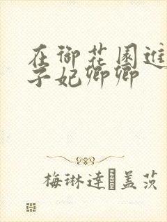 在御花园进入太子妃卿卿