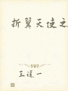 折翼天使之城