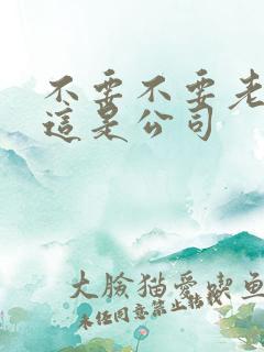 不要不要老板别这是公司