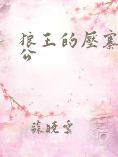 狼王的压寨小相公