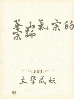 华山气宗的形意宗师