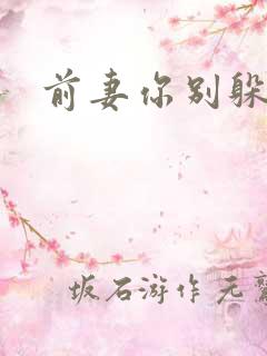 前妻你别躲
