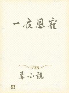 一夜恩宠