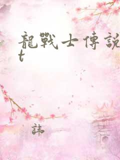 龙战士传说txt