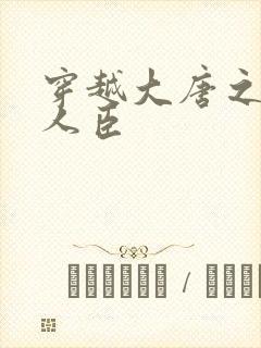 穿越大唐之位极人臣