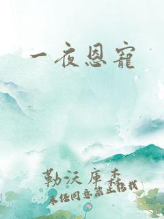 一夜恩宠
